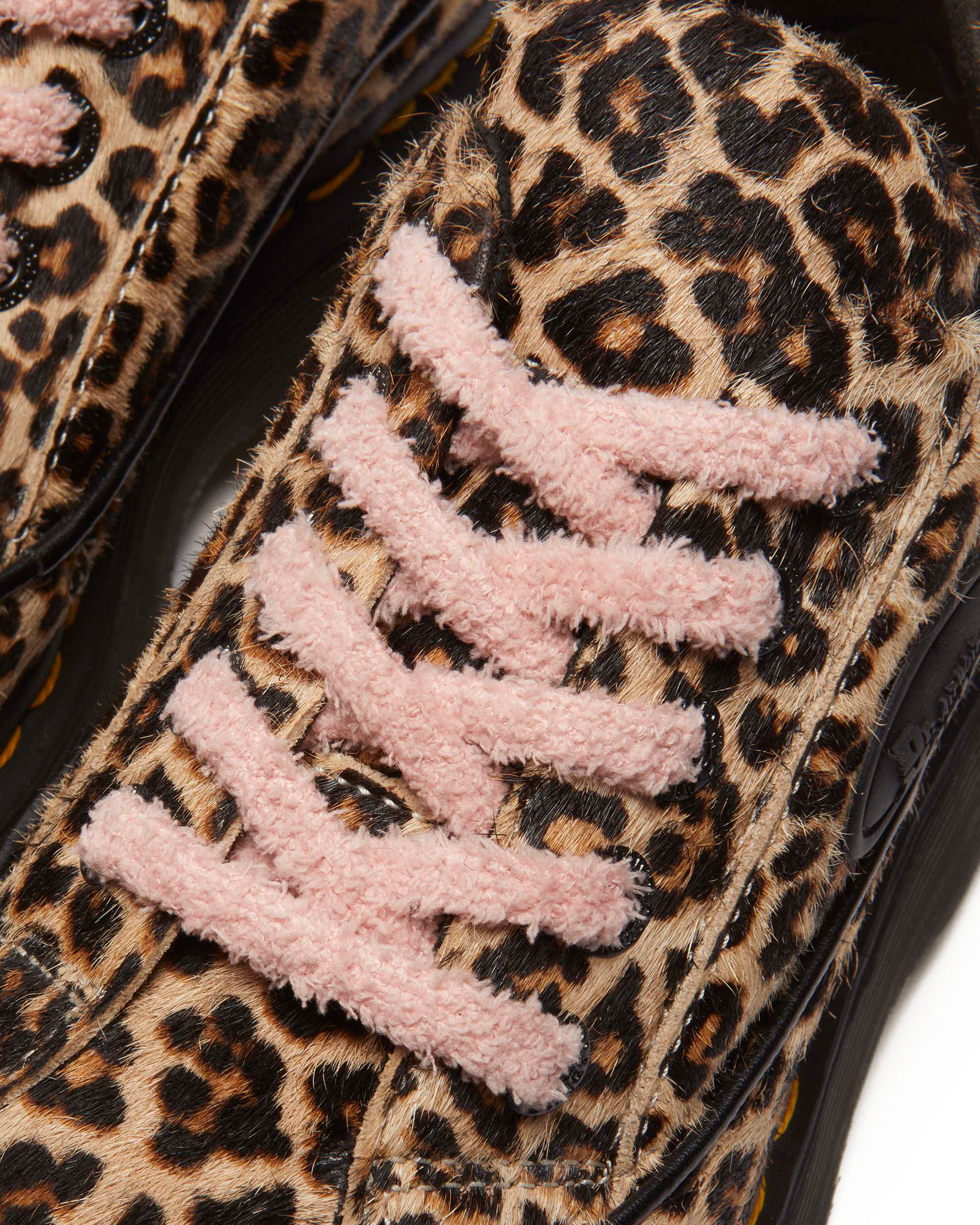 Buzz 5-eye leopard shoes